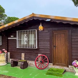 Bungalow